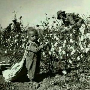 Meet your Posher, Cornelia